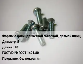 Винт с цилиндрической головкой, прямой шлиц 5х10 ГОСТ 1491-80 без покрытия